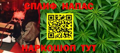 альфа пвп Новокубанск