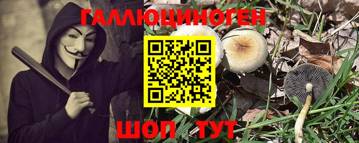Псилоцибиновые грибы GOLDEN TEACHER Чехов